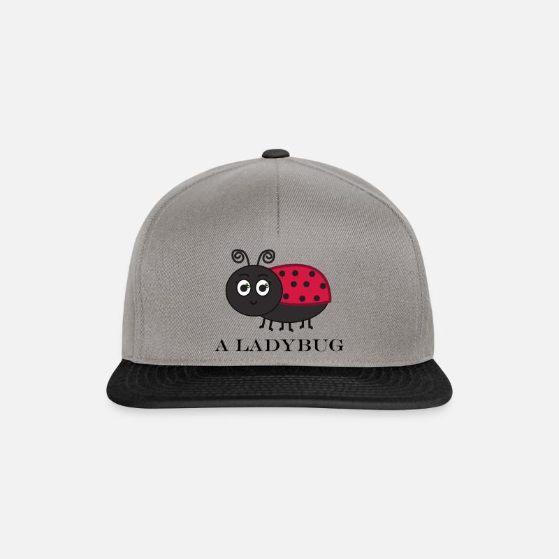 A LADYBUG - Casquette snapback - gris graphite/noir