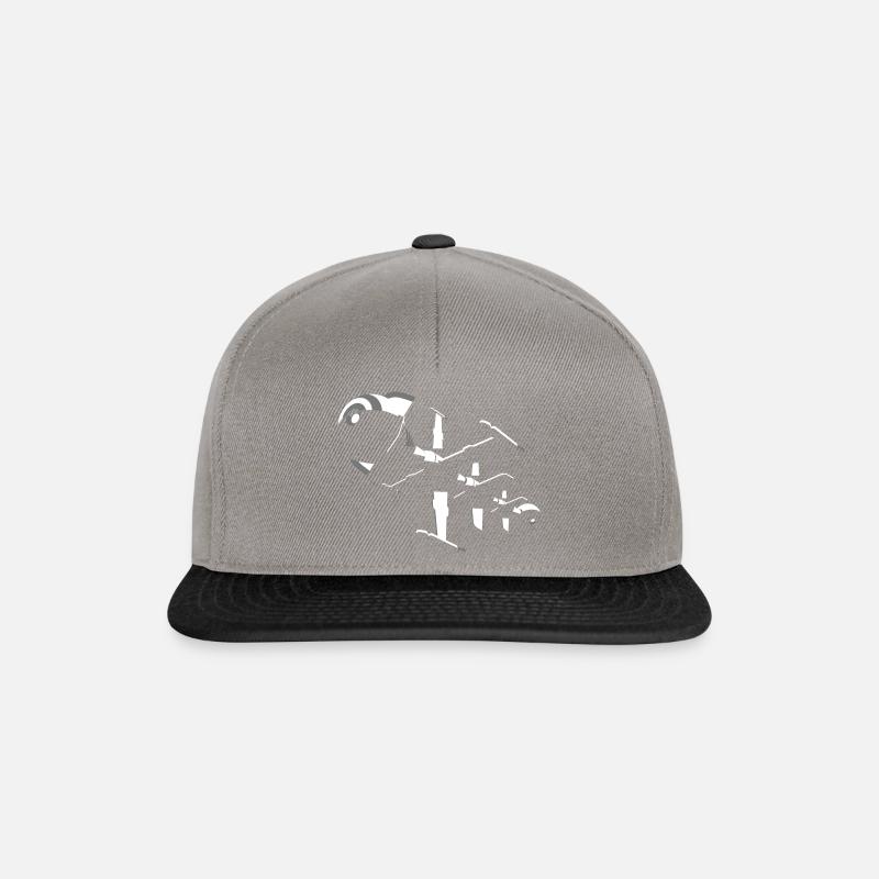 Comet - Casquette snapback - gris graphite/noir