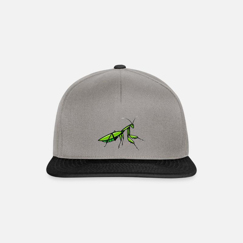 Insekt - Snapback Cap - Graphit/Schwarz