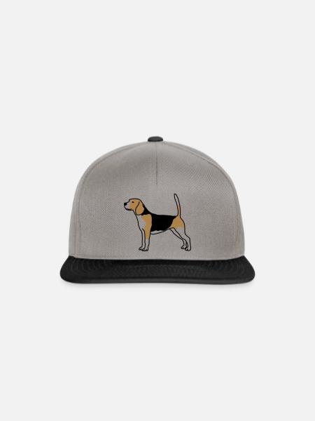 For dog lovers: Beagle - Snapback Cap - graphite/black