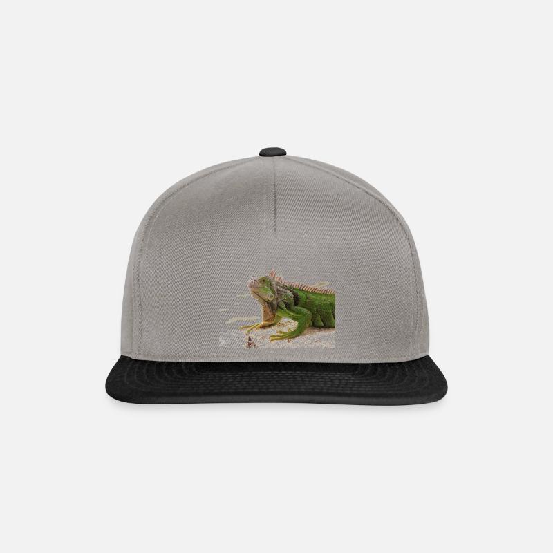 Leguan - Snapback Cap - Graphit/Schwarz