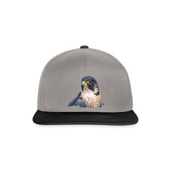 Wanderfalke - Snapback Cap - Graphit/Schwarz - Vorne