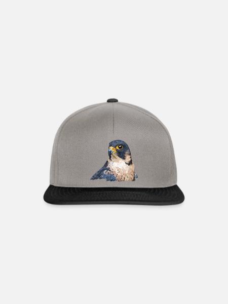 Wanderfalke - Snapback Cap - Graphit/Schwarz