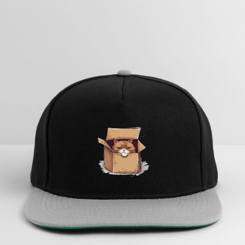 Cat grumpy grumpy grumpy sits in the box Snapback Cap