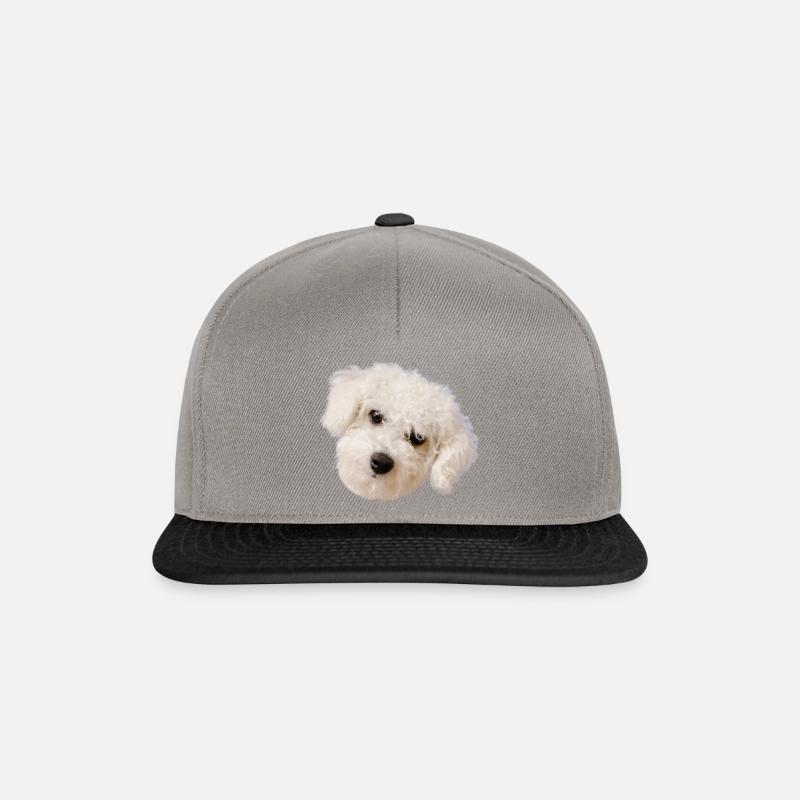 Que regardez-vous - Casquette snapback - gris graphite/noir