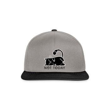 Cat Not Today No Cat Mom Lazy NO Middle Finger - Snapback Cap - graphite/black - Front