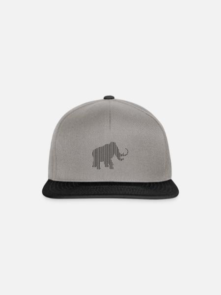 Mammut - Snapback Cap - Graphit/Schwarz