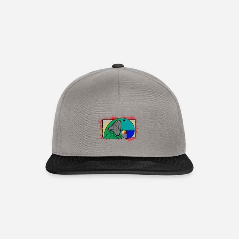 Fibonacci Spirale - Snapback Cap - Graphit/Schwarz
