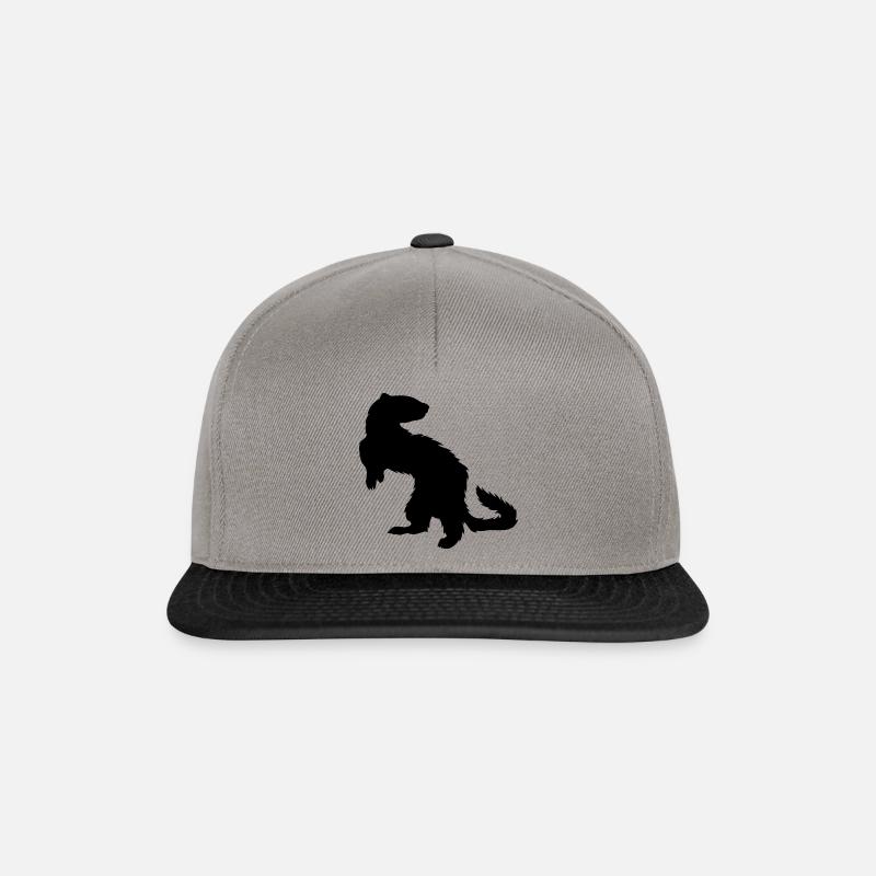 Frettchen Wiesel Marder Haustier Geschenk - Snapback Cap - Graphit/Schwarz