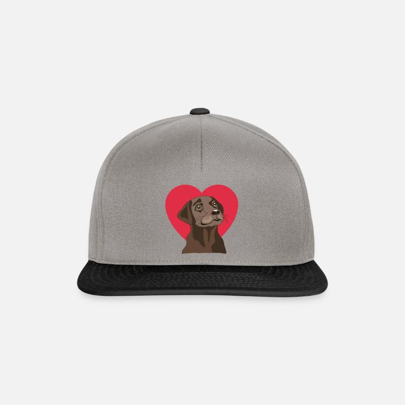 Labrador - Casquette snapback - gris graphite/noir