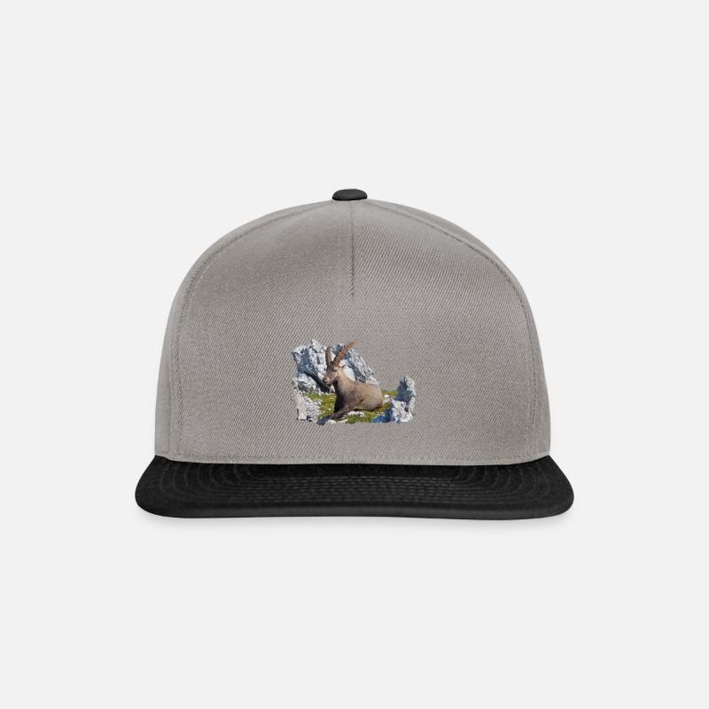 Steinbock - Snapback Cap - Graphit/Schwarz