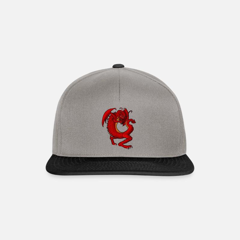 Dragon - Snapback Cap - Graphit/Schwarz