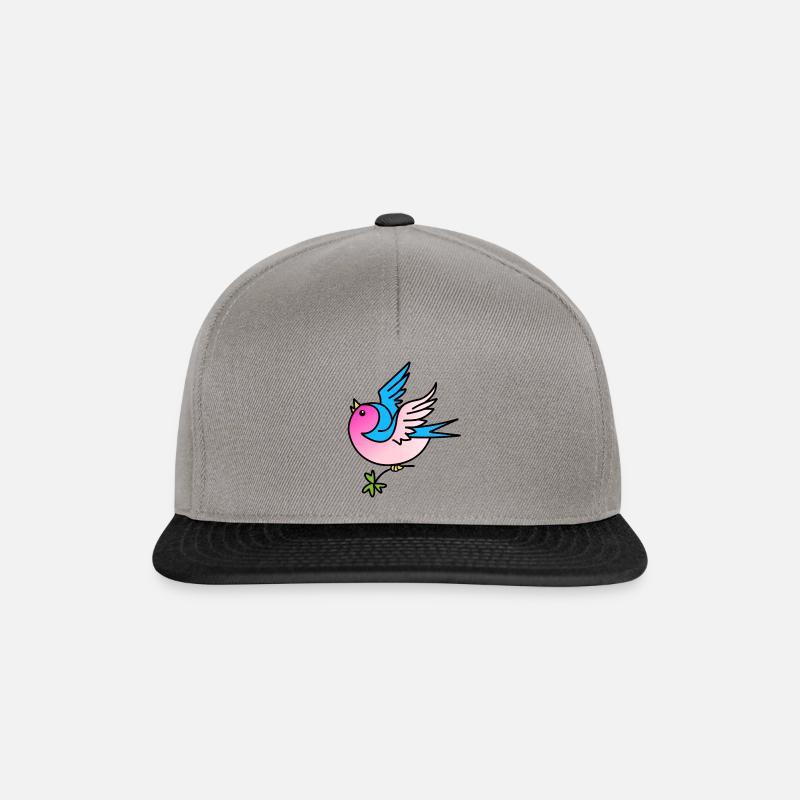 Schwalbe - Snapback Cap - Graphit/Schwarz