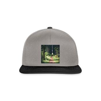 Enchanted Road: Ruhige Reise im Mystischen Wald - Snapback Cap - Graphit/Schwarz - Vorne