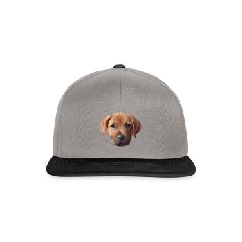 chien - Casquette snapback - gris graphite/noir - Devant