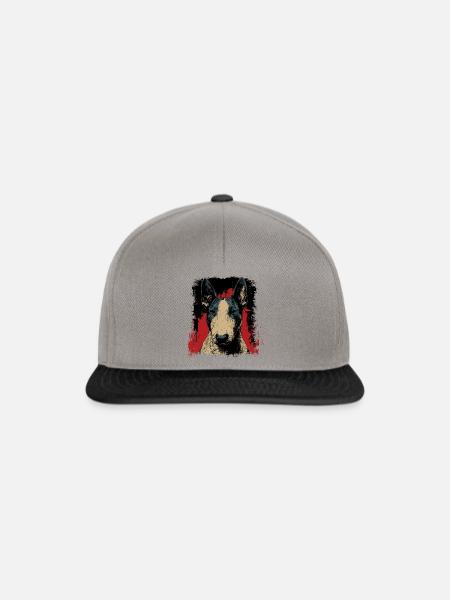 Bullterrier - Snapback Cap - Graphit/Schwarz