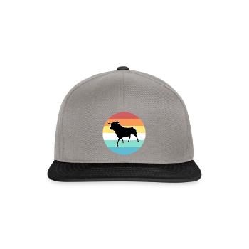 Stier - Snapback Cap - Graphit/Schwarz - Vorne