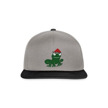 Frosch - Snapback Cap - Graphit/Schwarz - Vorne