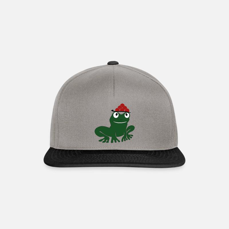Frosch - Snapback Cap - Graphit/Schwarz