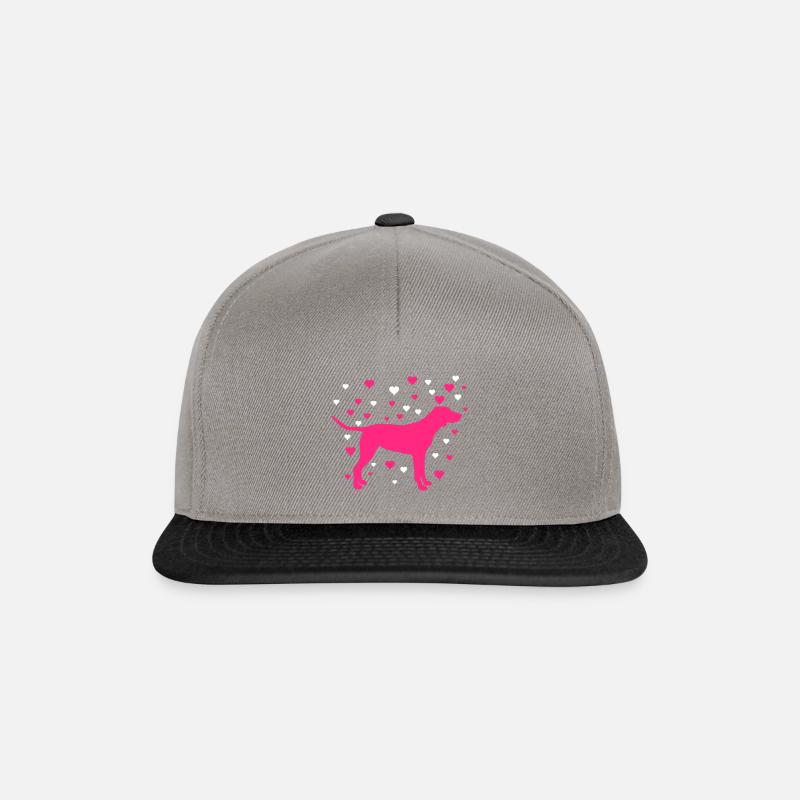 Labrador - Snapback Cap - Graphit/Schwarz