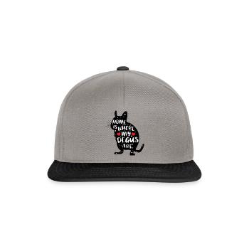 Degus | Magischer Spruch | Feier Deine Deguliebe! - Snapback Cap - Graphit/Schwarz - Vorne