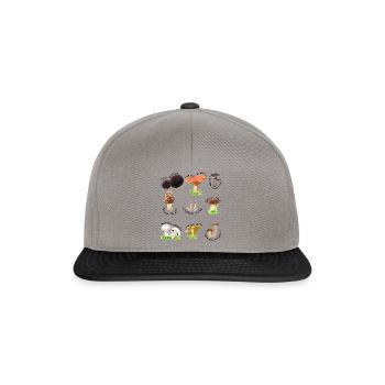 Verschiedene essbare Pilze mit lateinischen Namen - Snapback Cap - Graphit/Schwarz - Vorne