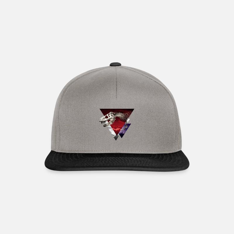 Dino - Casquette snapback - gris graphite/noir