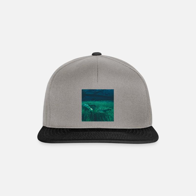 Solitäre Anlage - Snapback Cap - Graphit/Schwarz