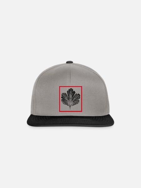 Blatt in Rahmen - Snapback Cap - Graphit/Schwarz