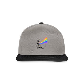 Rainbow - Snapback Cap - Graphit/Schwarz - Vorne