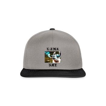 Lama Art 3 - Snapback Cap - Graphit/Schwarz - Vorne