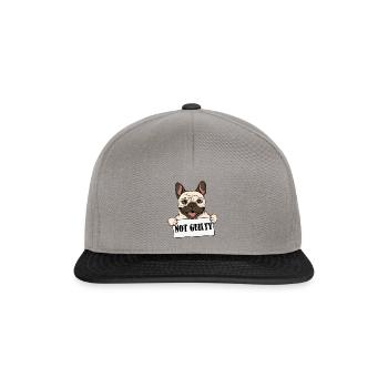 drôle de chien - Drôle de chien - Chemise - Casquette snapback - gris graphite/noir - Devant