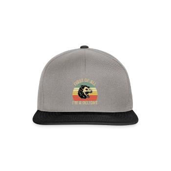 First of All I'm a Delight Sarcastic Ang - Snapback Cap - graphite/black - Front