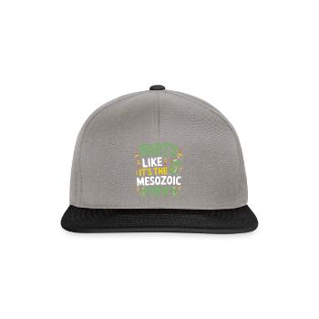 Dinosaur Party Decorations - Snapback Cap - Graphit/Schwarz - Vorne