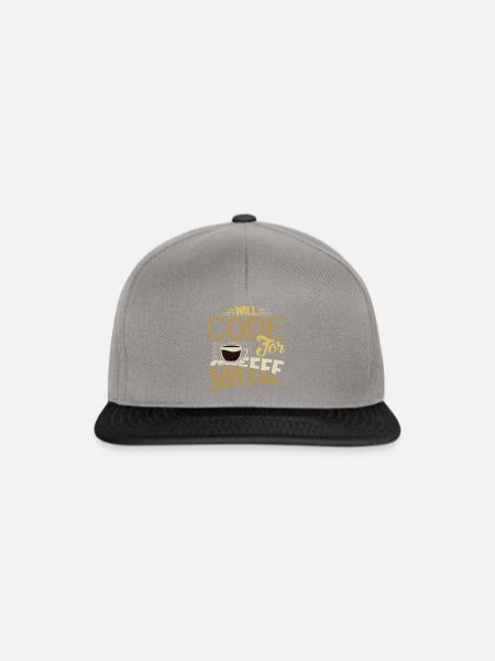Software Engineering EDV Software Entwickler - Snapback Cap - Graphit/Schwarz