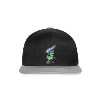 LGBTQ Flag - Dinosaur Bear - Snapback Cap - black/grey - Front