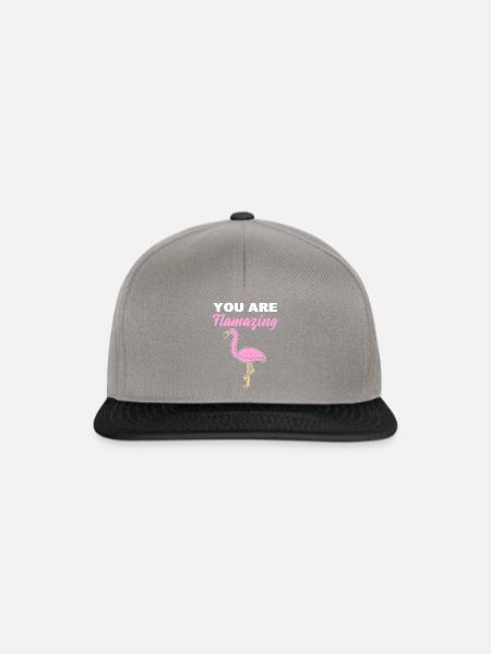 You Are Flamazing Zooarbeiter - Snapback Cap - Graphit/Schwarz
