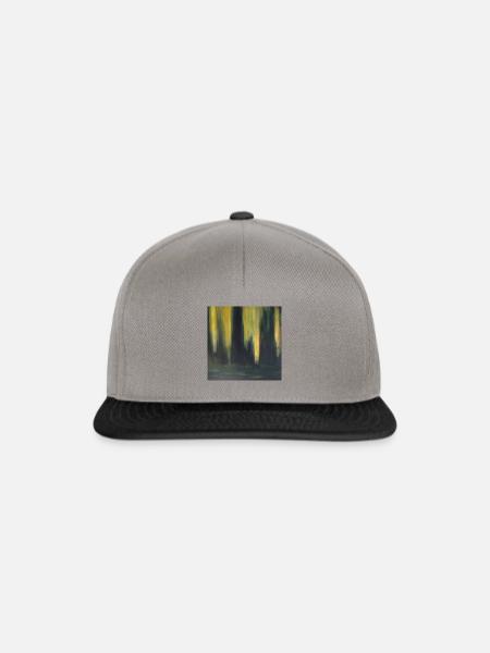 Polarlichter - Snapback Cap - Graphit/Schwarz