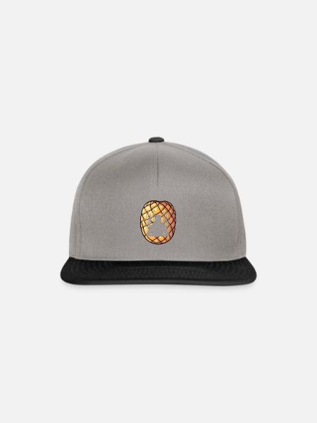 Cybersecurity Encryption Virenschutz - Snapback Cap - Graphit/Schwarz