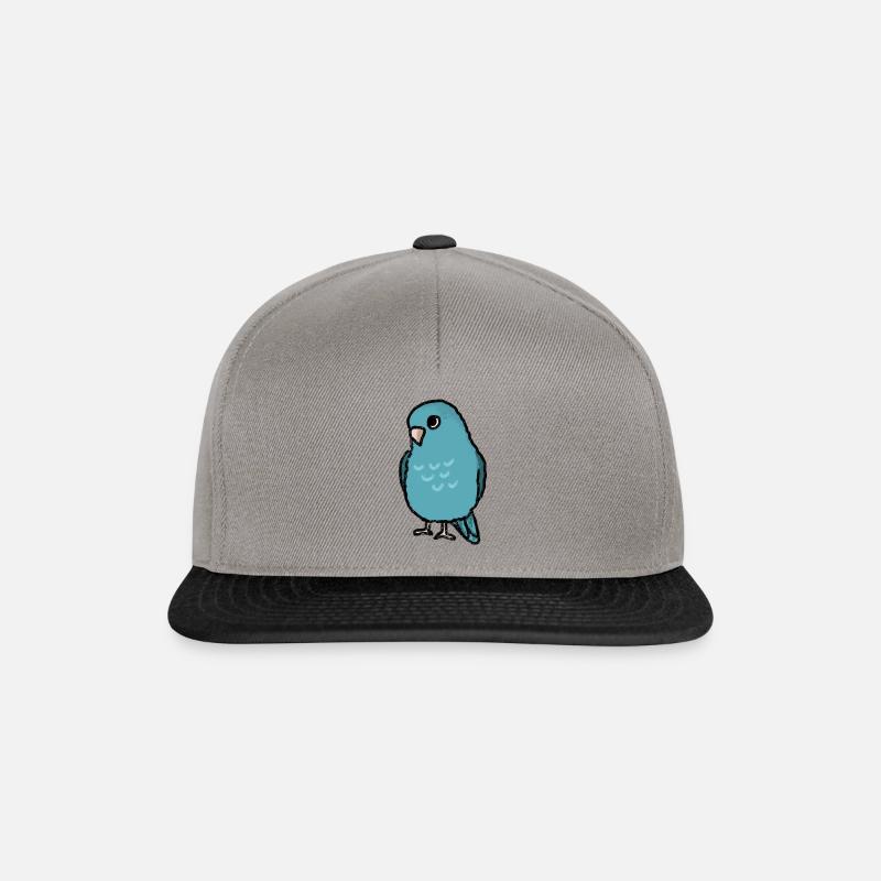 parrotlet - Casquette snapback - gris graphite/noir
