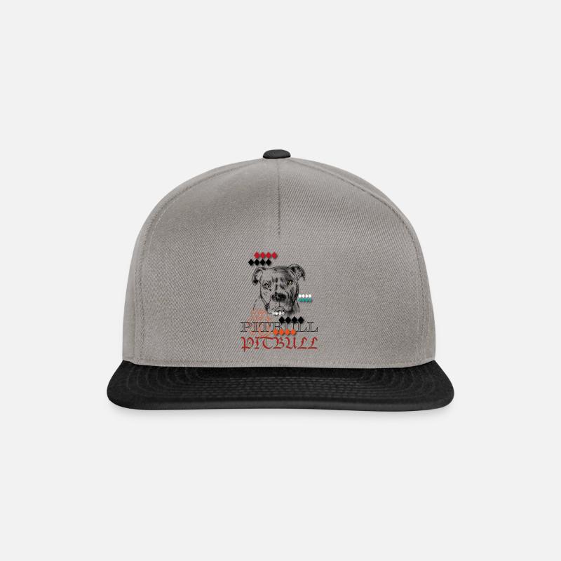 PITBULL - Casquette snapback - gris graphite/noir