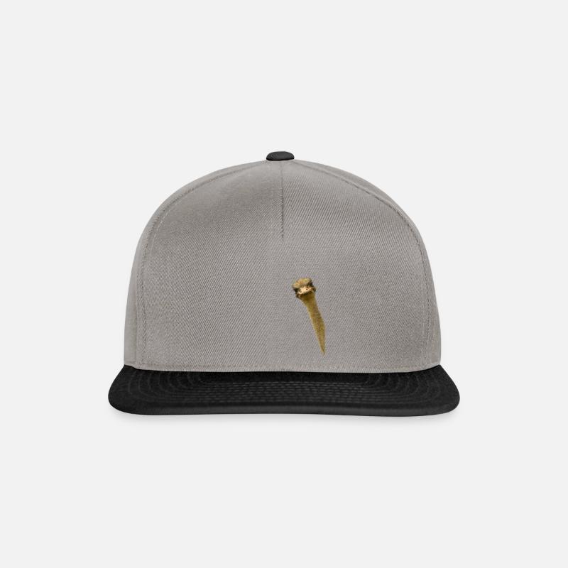 Hinterhältiger Strauß Vogel - Snapback Cap - Graphit/Schwarz
