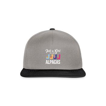 alpaca - Snapback Cap - graphite/black - Front