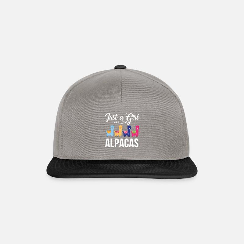 Alpaka - Snapback Cap - Graphit/Schwarz