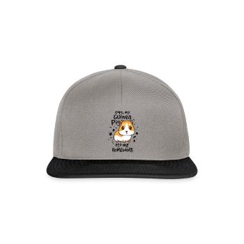 Mein Meerschweinchen as meine Hausaufgaben, Schule Meerschweinchen - Snapback Cap - Graphit/Schwarz - Vorne