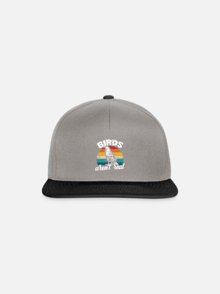 Funny Vintage Retro Birds Are Not Real - Snapback Cap - Graphit/Schwarz