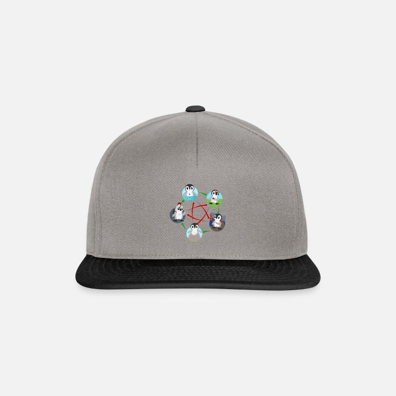 Five Elemental Penguins - Snapback Cap - graphite/black