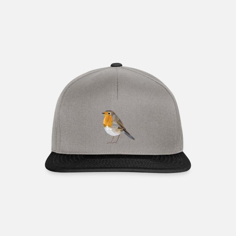 Robin - Casquette snapback - gris graphite/noir