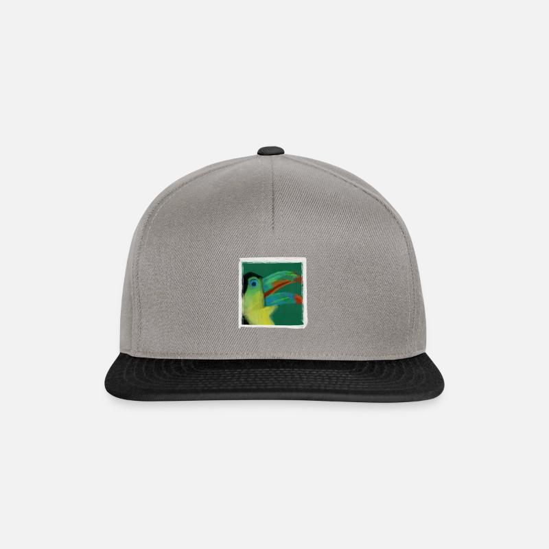 Tukan Fiesta - Snapback Cap - Graphit/Schwarz