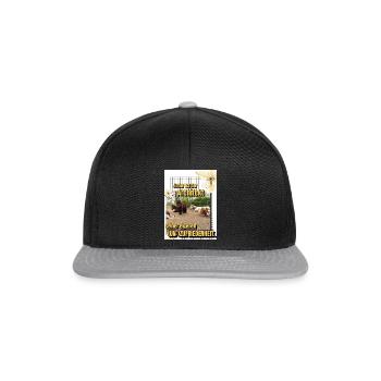 Herde Motto - Snapback Cap - Schwarz/Grau - Vorne